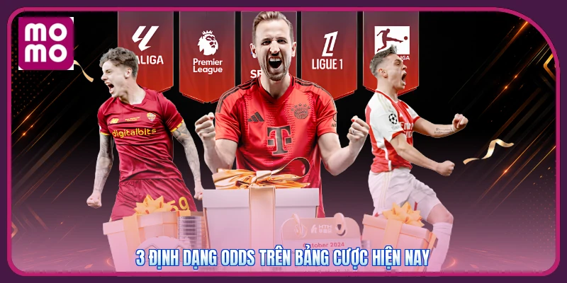 Kèo Châu Âu MMOO | Giải Mã 1X2 Bằng Xác Suất Thắng Hòa Thua 3 3 định dạng odds trên bảng cược hiện nay