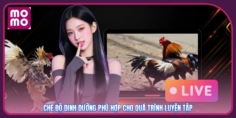 Chế độ dinh dưỡng phù hợp cho quá trình luyện tập