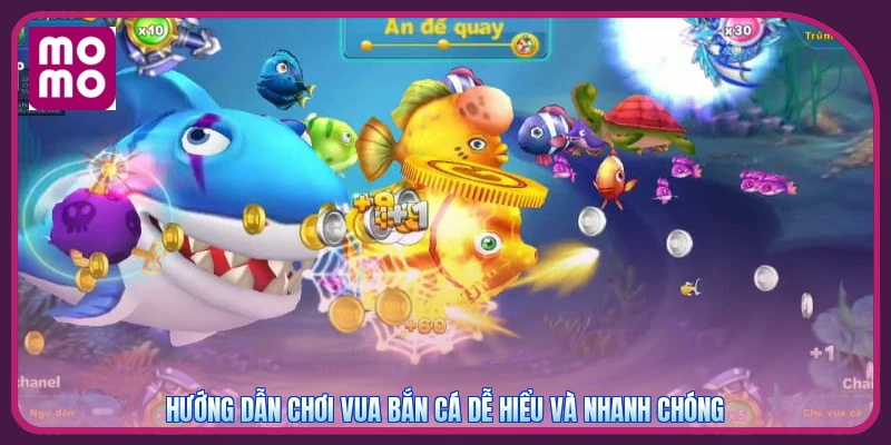 Vua Bắn Cá MMOO | Cổng Game Chất Lượng - Tặng Code 200K 3 Hướng dẫn chơi vua bắn cá dễ hiểu và nhanh chóng
